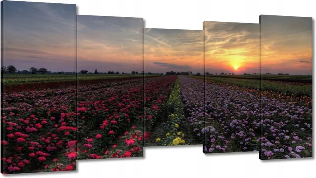Vászonkép 150x80 Nyugat a virágmezőn