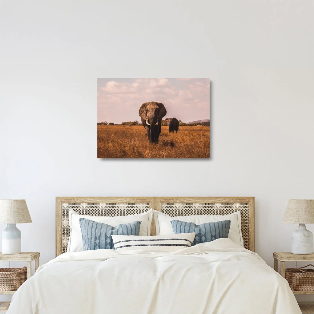 Kép - Az elefánt érkezése (üvegen) (70x50 cm)