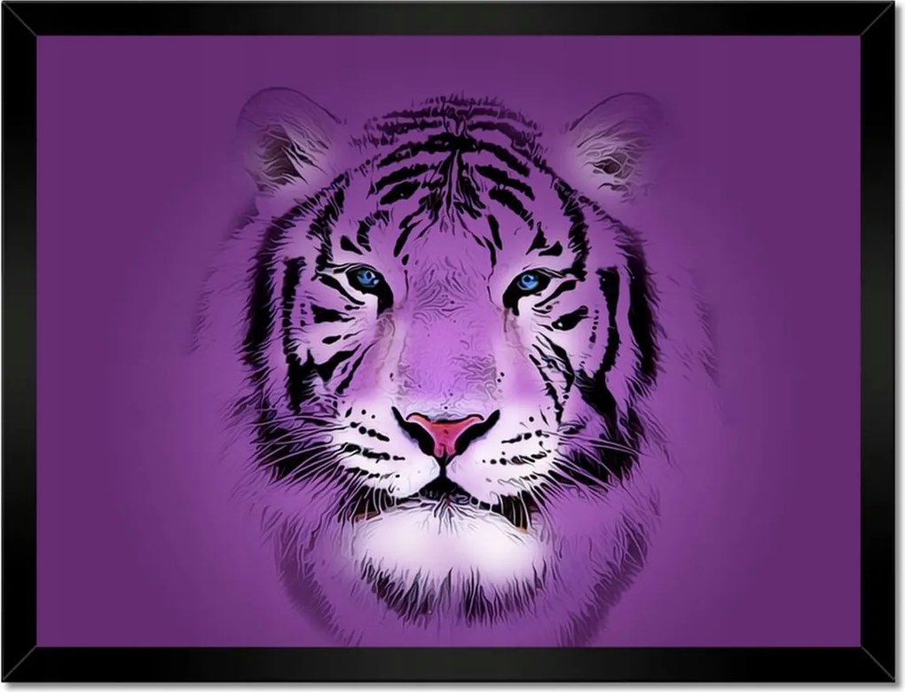 Poszterek keretben 40x30 Lila tigris kép