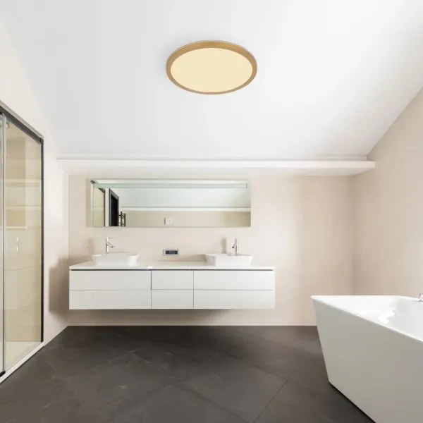 Globo 41562-24MM -LED dimmelhető fürdőszobai lámpa SAPANA LED/24W/230V IP44