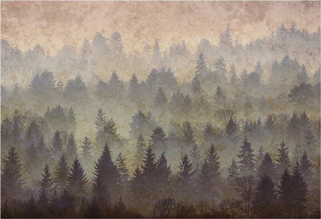 Flizelina fotótapéta Nappaliba és Hálószobába Erdei köd 152x104 Ragasztó