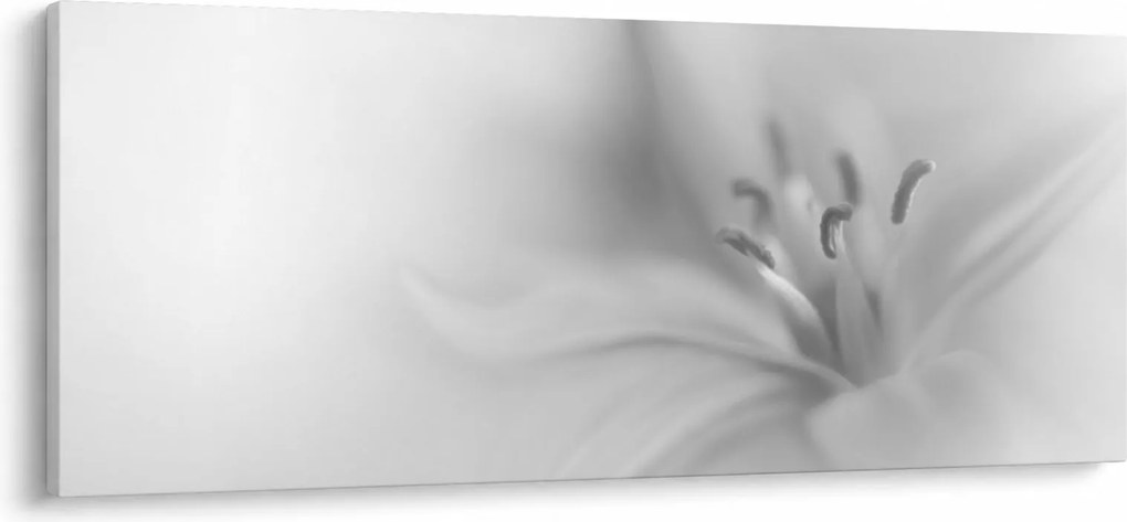 Kép - Delicate Lily (120x50 cm)