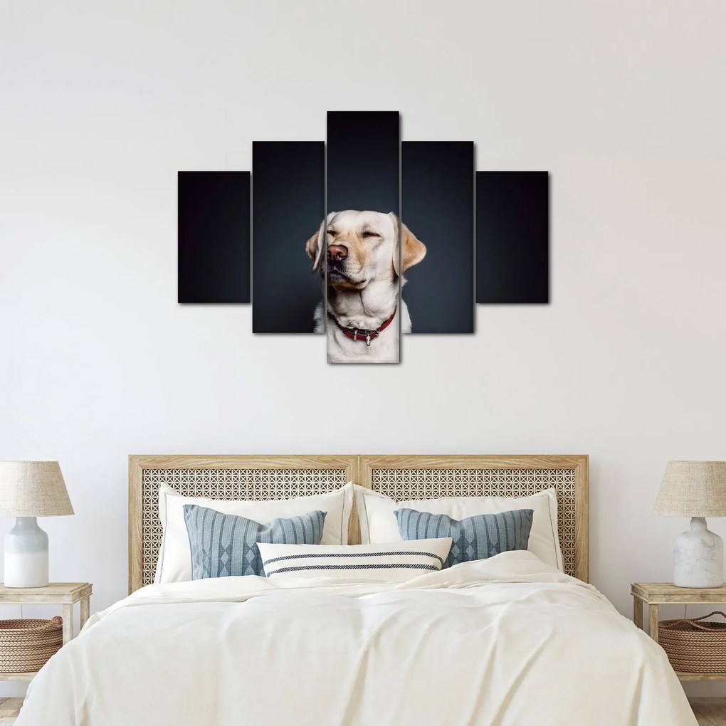 Labrador képe (150x105 cm)