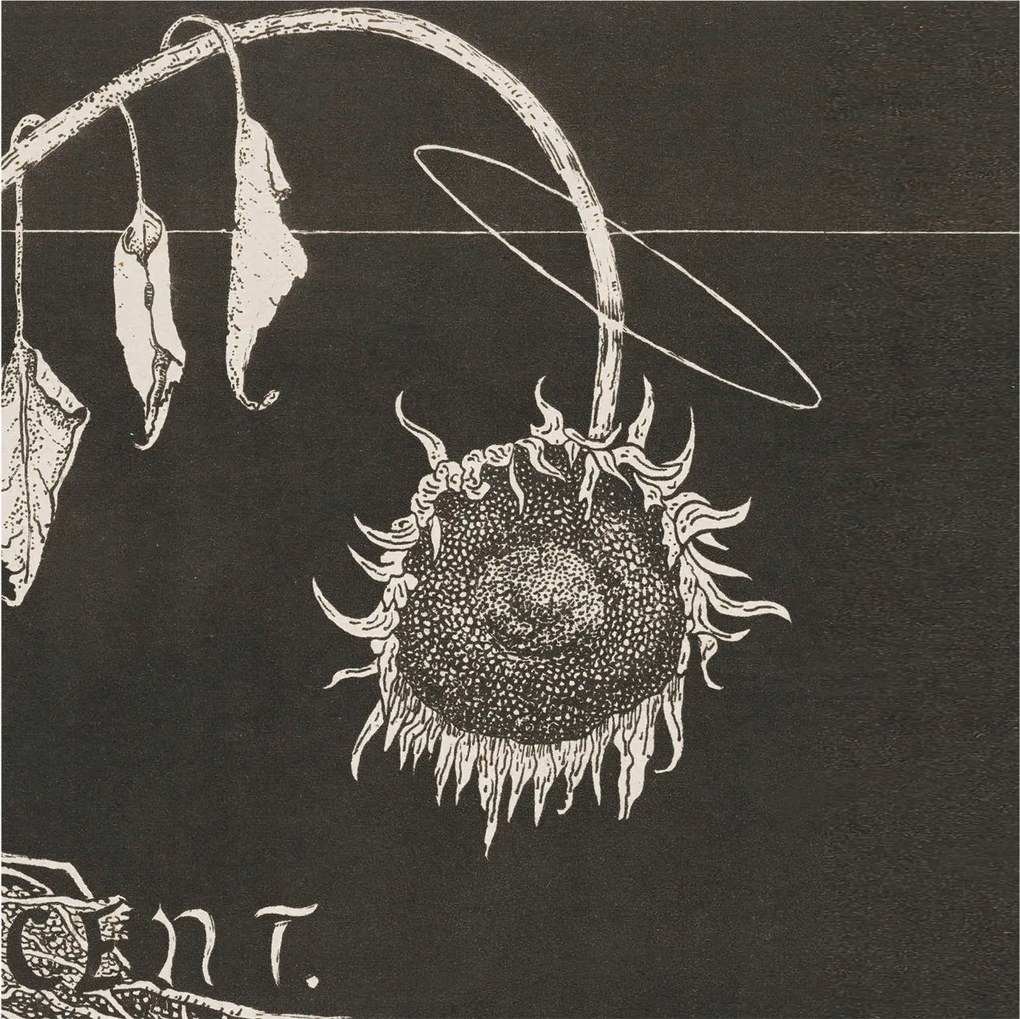 Modern fotótapéta Flizelina a falra Nosztalgikus napraforgó 250x250