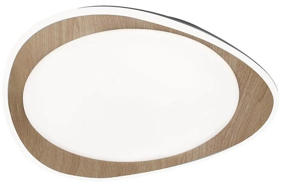 Rabalux Rabalux 2427 - LED Mennyezeti lámpa TAMINO LED/24W/230V RL2427