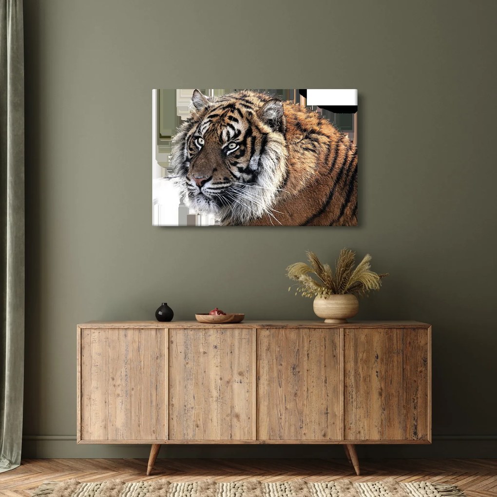 Tigris képe (90x60 cm)