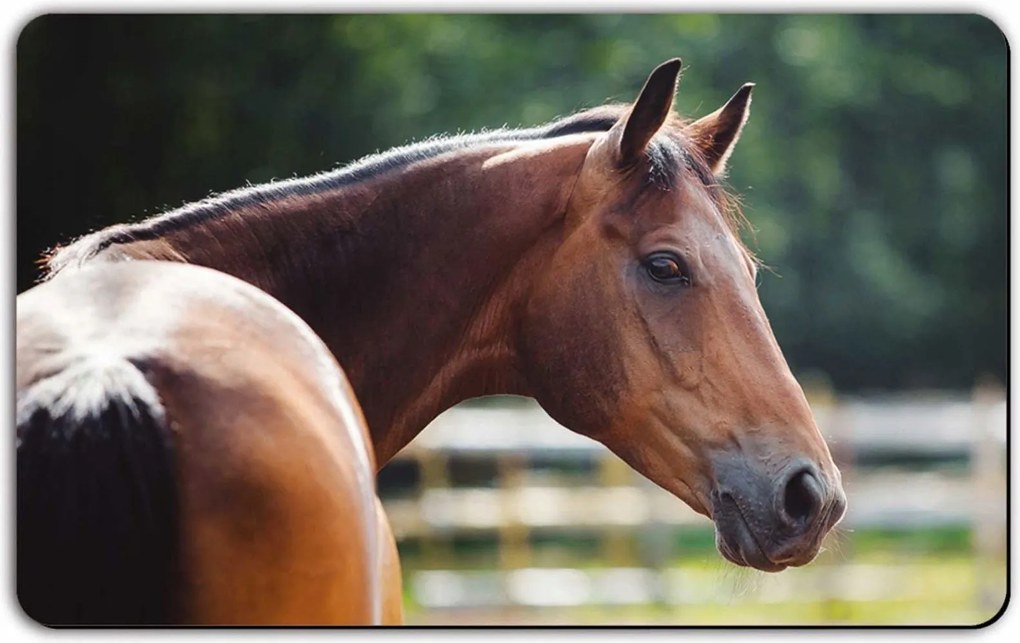 Ló Vágódeszka dekoratív Remember 20x14 cm