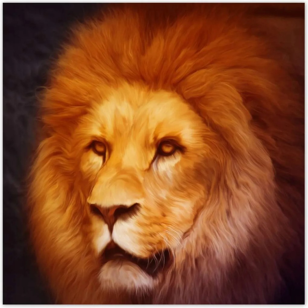 Poszterek 100x100 Oroszlánkirály