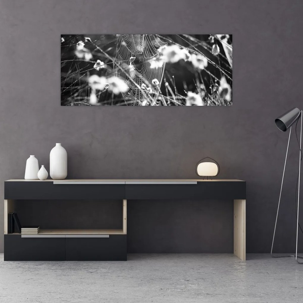 Kép - Pókháló a réten (120x50 cm)