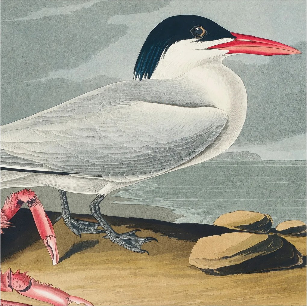 Fotótapéta Flizelin Dekoratív tapéta Tengeri táj 250x250 Ragasztó