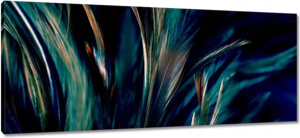 Vászonkép 100x40 Puha pávatollak