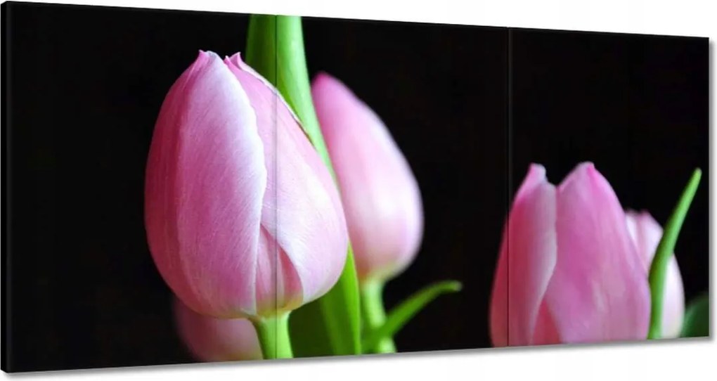 Vászonkép 180x90 Lila tulipánok