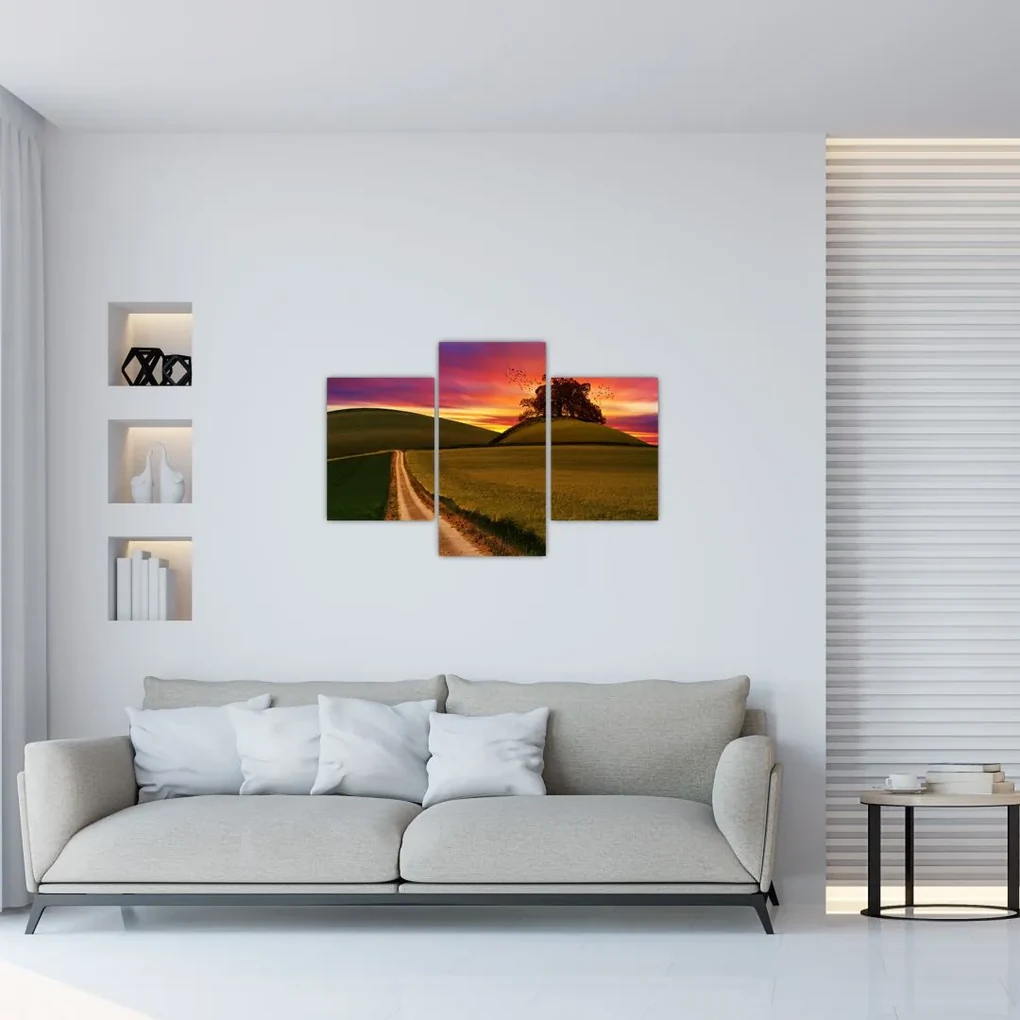 Mezei naplemente képe (90x60 cm)