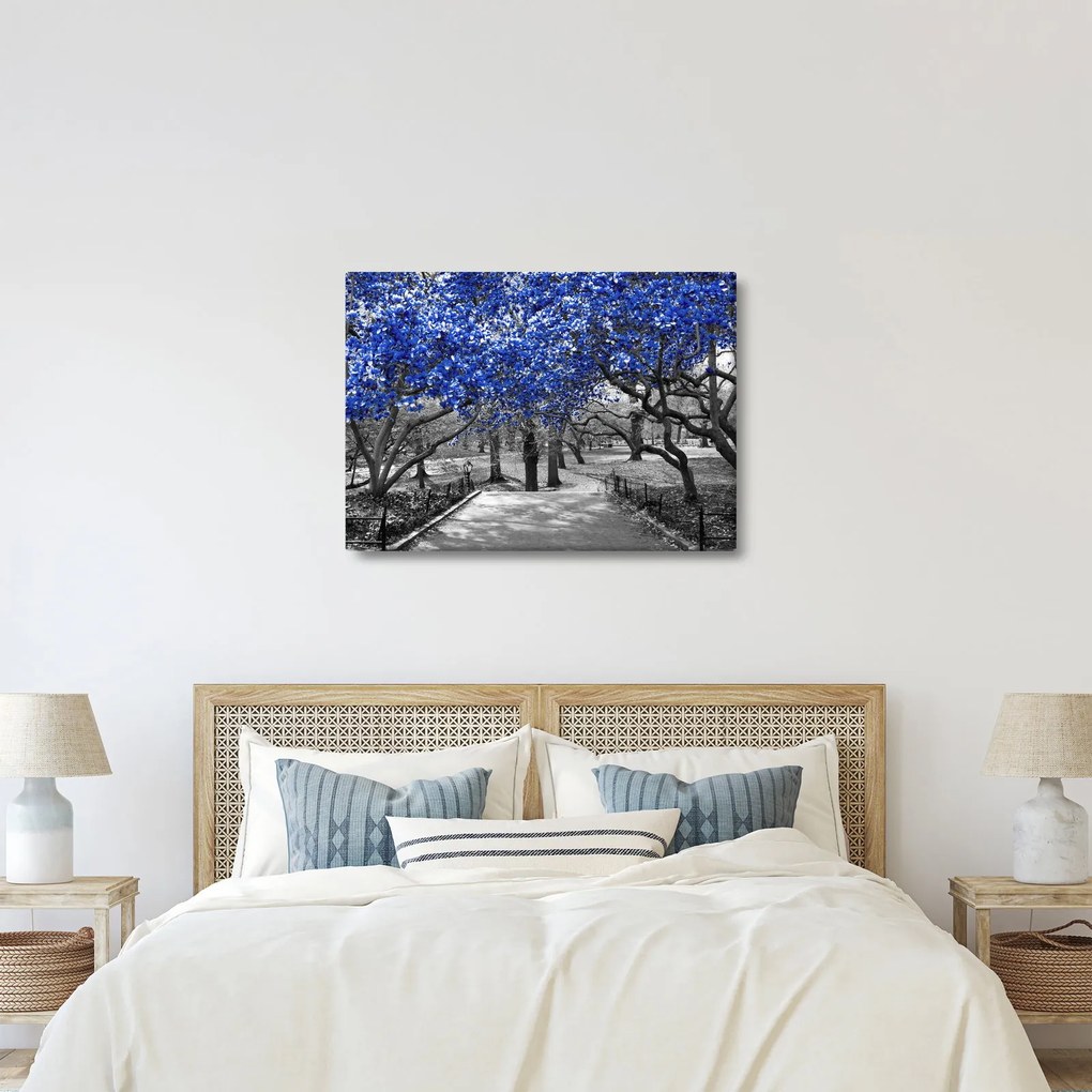 Kép - Kék fák, Central Park, New York (70x50 cm)