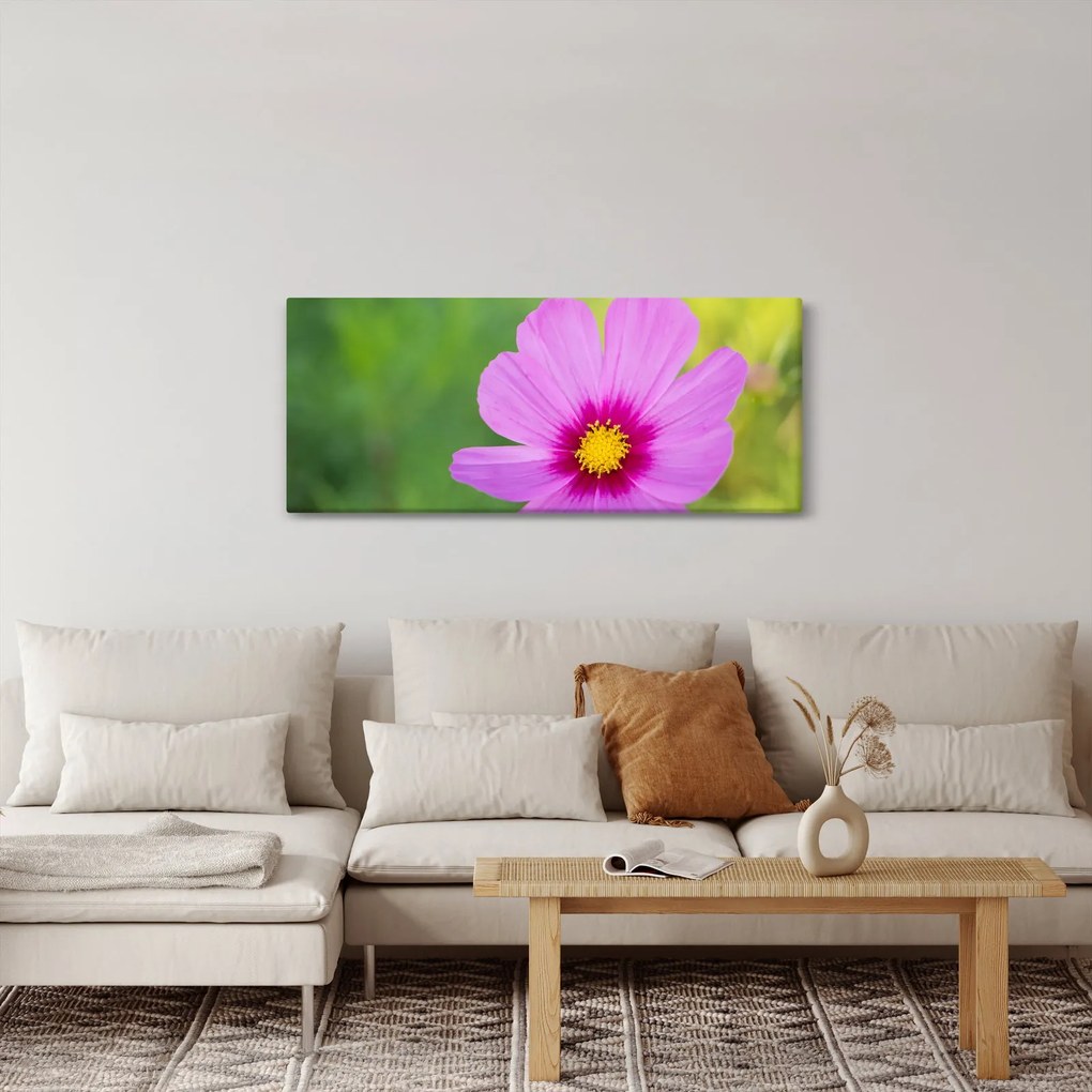 Kép - réti virág (120x50 cm)