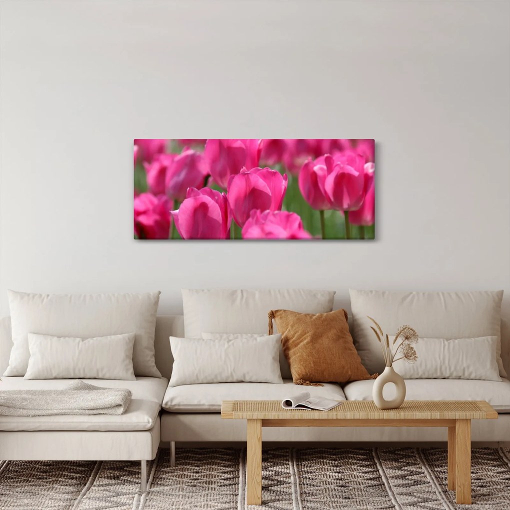 Kép - Rózsaszín tulipánok (120x50 cm)