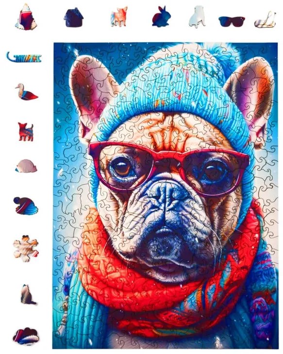 Gustav, a morcos bulldog fa puzzle