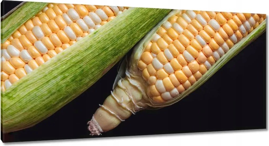 Vászonkép 115x55 Két kukoricacsutka