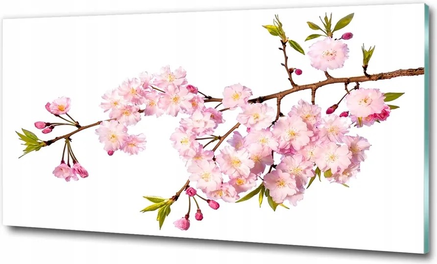 Fotótapéta üvegfalra Rózsaszín tulipánok 100x70