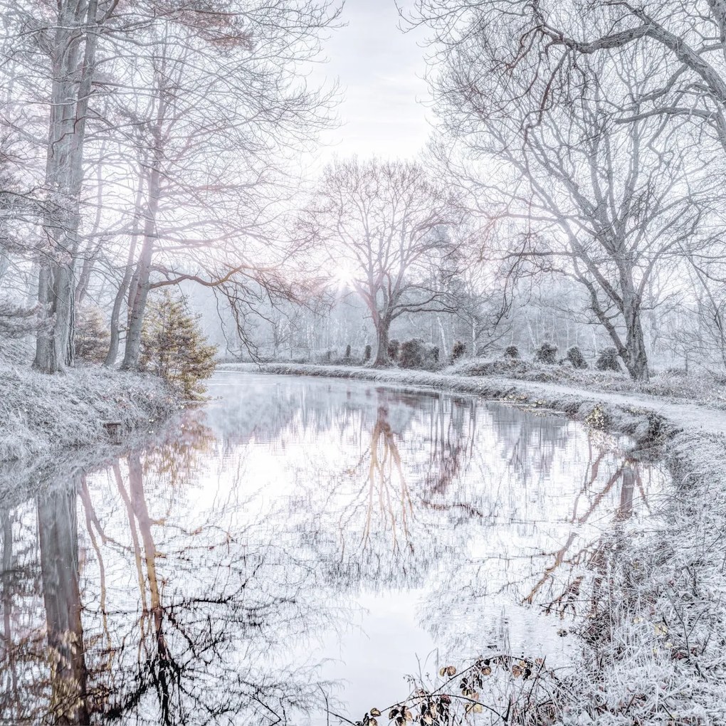 Poszter 70x70cm Csatorna fákkal, Assaf Frank