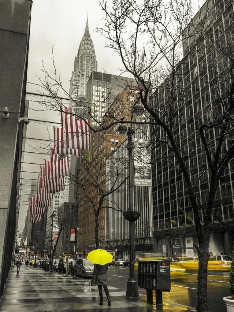 Poszter 60x80cm Nő sárga esernyővel New York utcáin, Assaf Fran