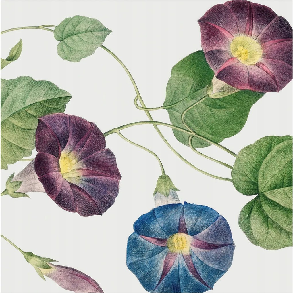 Fotótapéta Flizelin Hálószoba fal Virágos elegancia 250x250