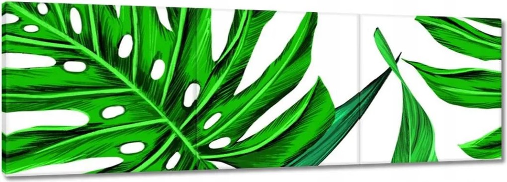 Vászonkép 90x30 Zamatos Monstera Trópusok