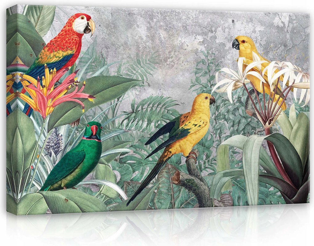 Vászonkép 60x40 Trópusok papagájok egzotikus dzsungel madarak levelek virágok