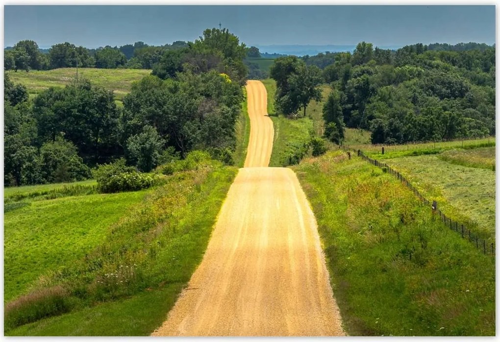 Poszterek 185x125 Út Rét Mező Erdő
