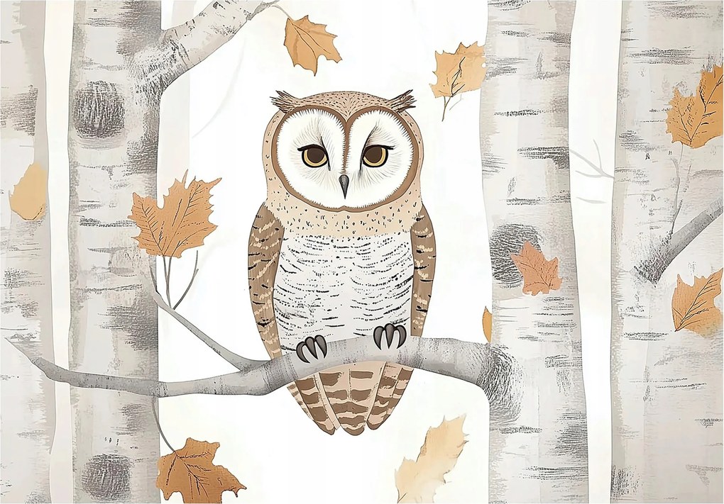 Fotótapéta erdő szürke barna bagoly ül az ágon gyerekeknek