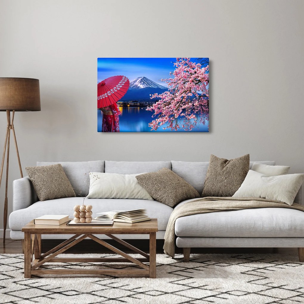 Kép - Kilátás a csúcsra, Japán (90x60 cm)