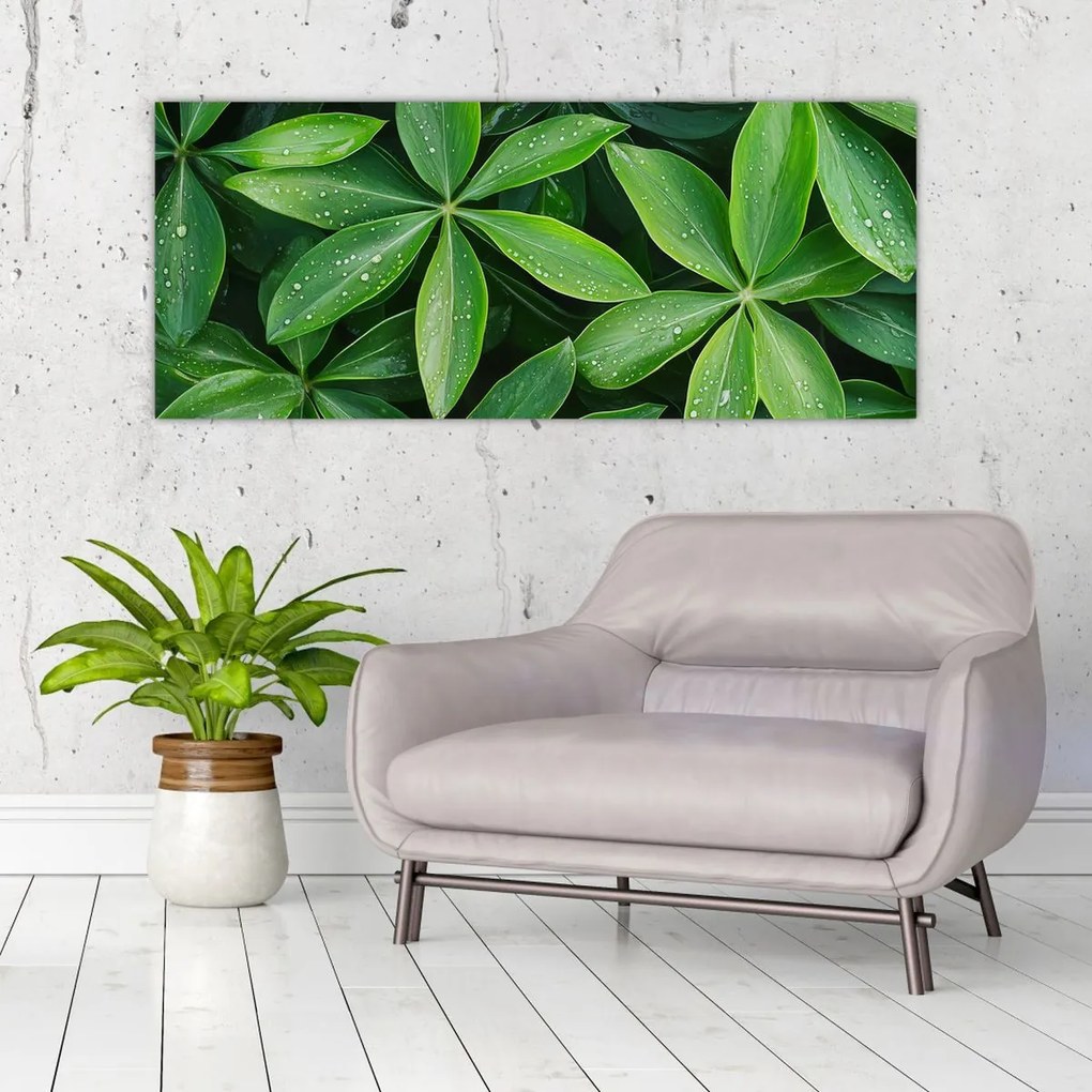 Kép - Levelek harmatcseppekkel (120x50 cm)