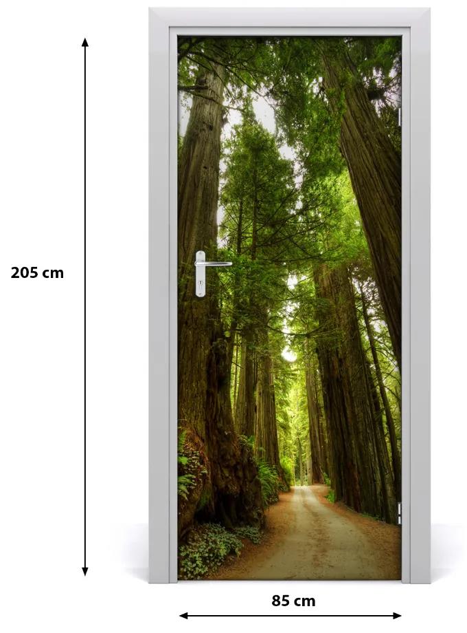 Ajtóposzter öntapadós Az út az erdőben 85x205 cm