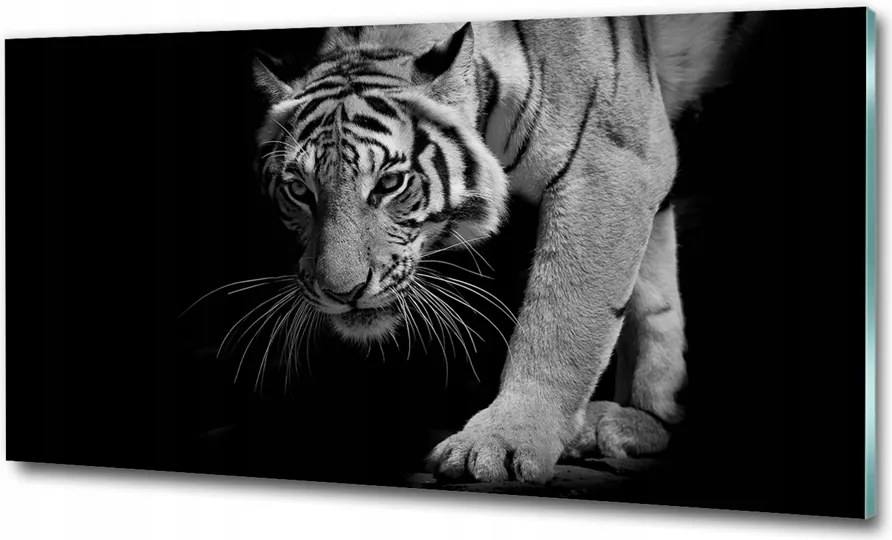 Fotó-kép fotó edzett üveg Tigris 100x70