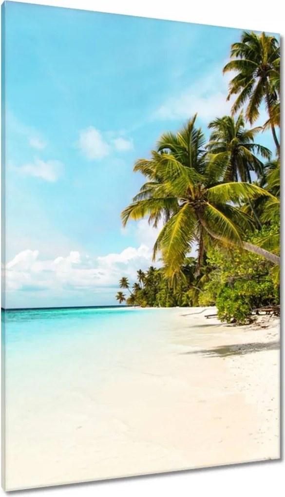 Vászonkép 80x120 Trópusok Tájkép Pálmafák