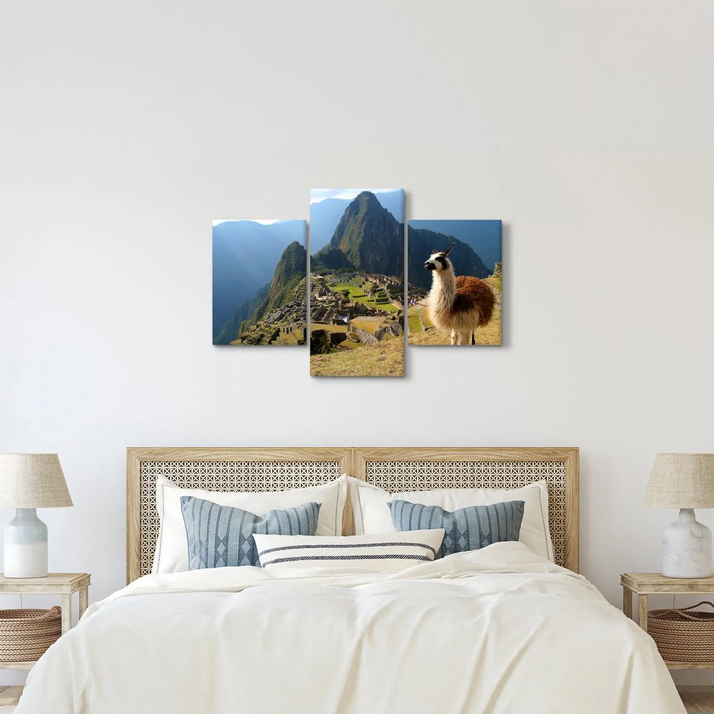 Kép - Láma és Machu Picchu (90x60 cm)