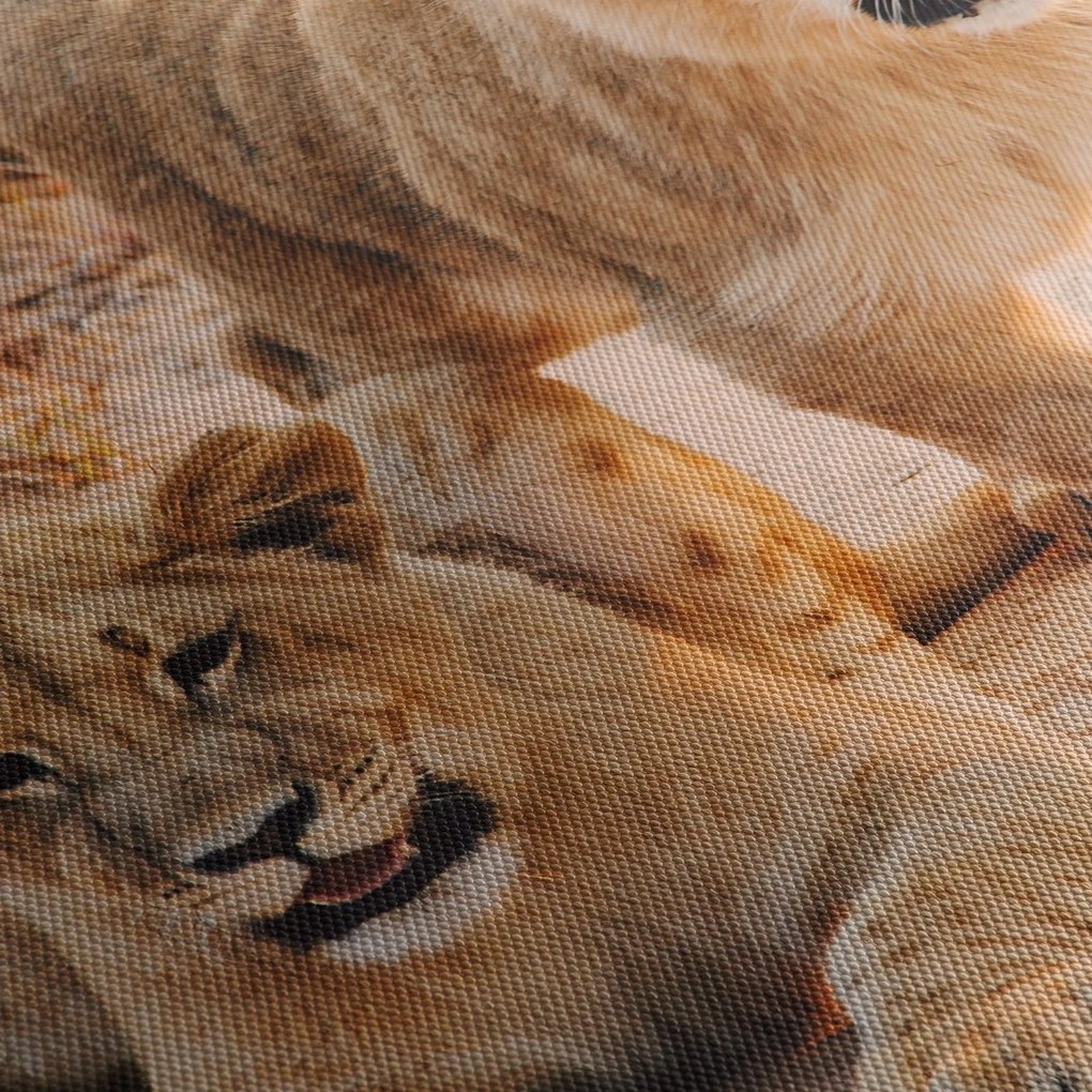 Egy oroszlán képe (120x50 cm)