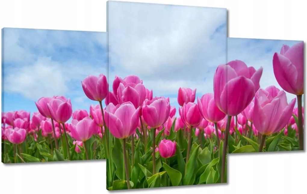 Vászonkép 100x60 Tulipánok Valentin napra