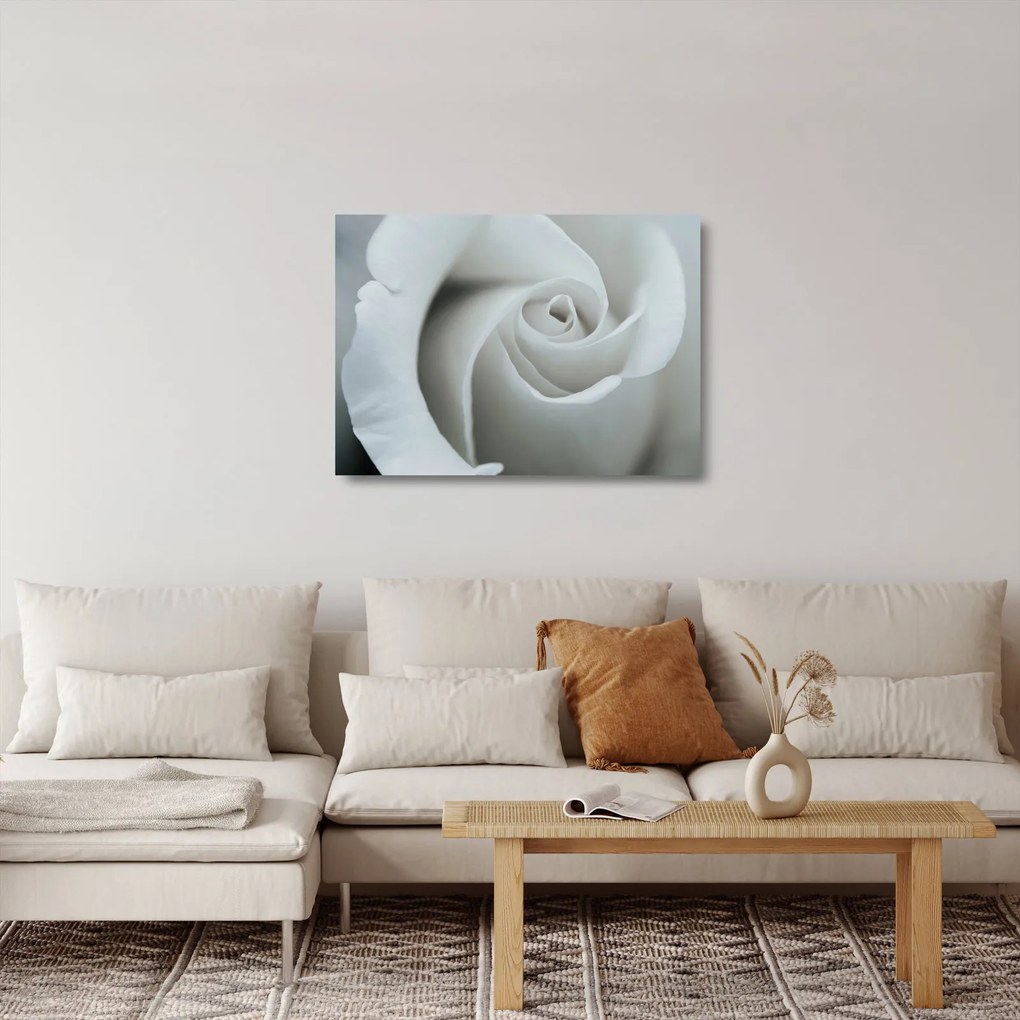 Kép - Fehér rózsa (üvegen) (70x50 cm)