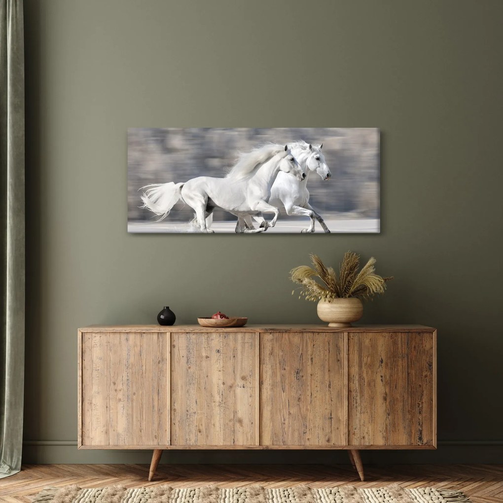 Kép - Fehér lovak télen (120x50 cm)