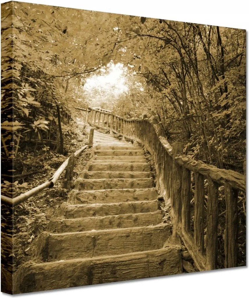 Vászonkép 20x20 Lépcsők szépia színben