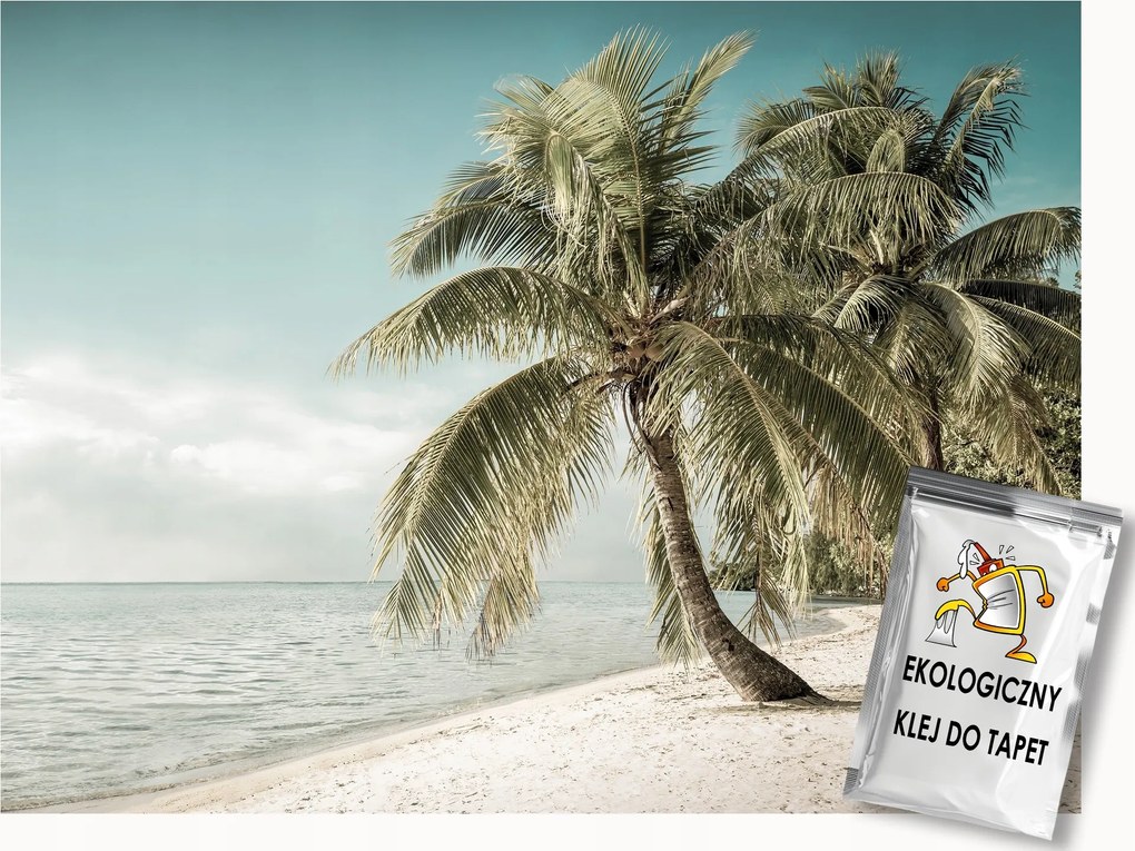 Fotótapéta Flizelina Természet Tengerpart Pálmafák Homok Nap 350x250 ragasztó
