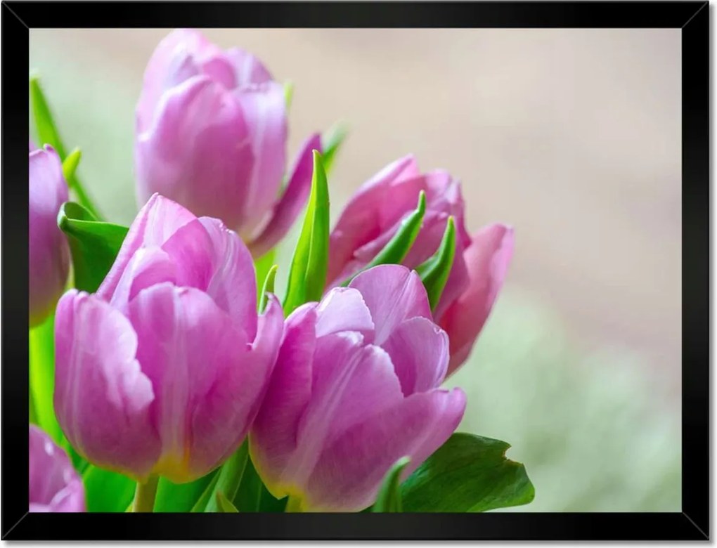 Poszterek keretben 40x30 Tulipánok Virágok