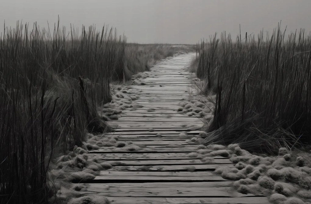 Poszter 91,5x60cm A csend ösvénye Dűnék