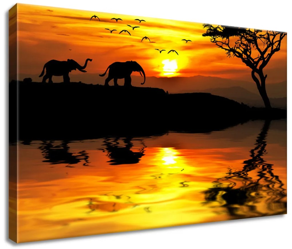 Gario Vászonkép Afrika Méret: 100 x 40 cm