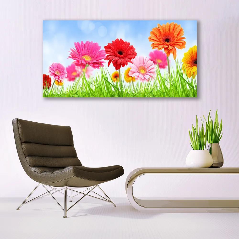 Vászonkép nyomtatás Virág Grass Plant 125x50 cm