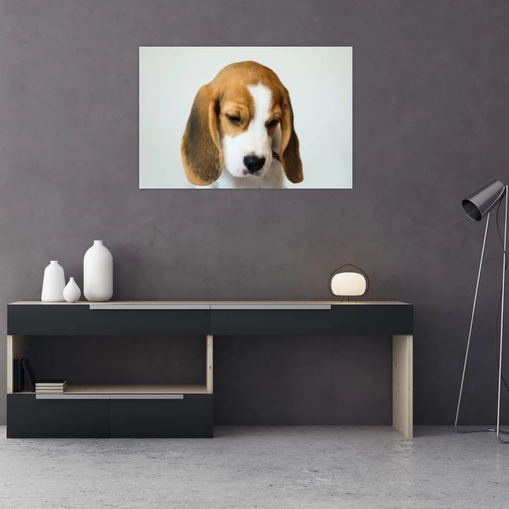 Beagle képe (90x60 cm)