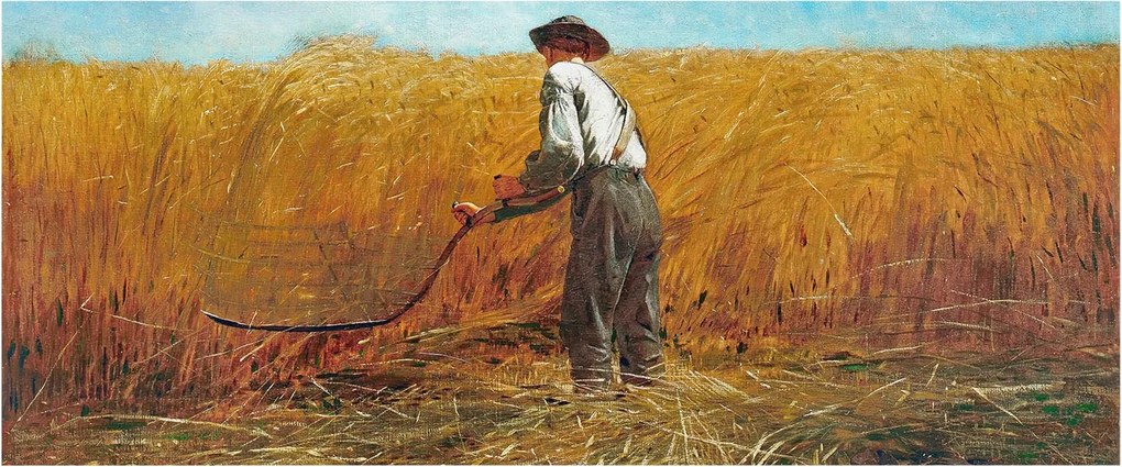 Flizelin fotótapéta Flizelin Design Aratás a napfényben 250x104