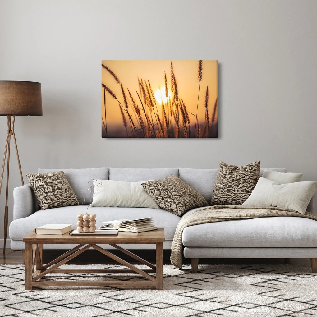 Kép - Füvek a napon (90x60 cm)