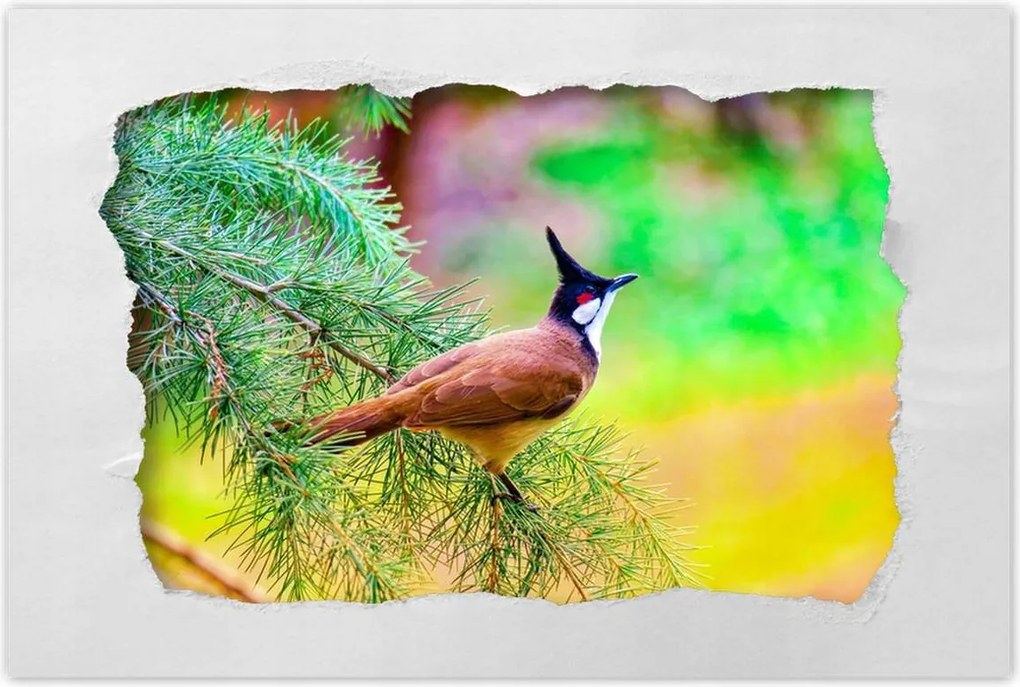 Poszterek 90x60 Madár az ágon Természet